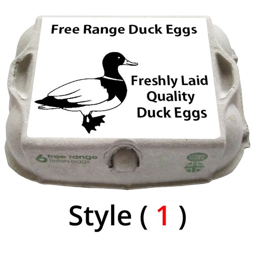 Duck egg box - egg,
