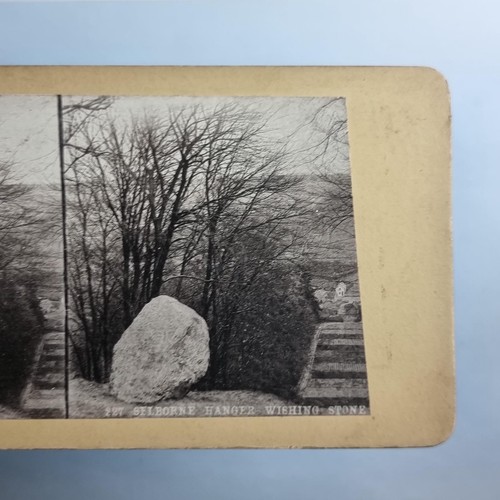 Selborne hanger stereoview - hanger,