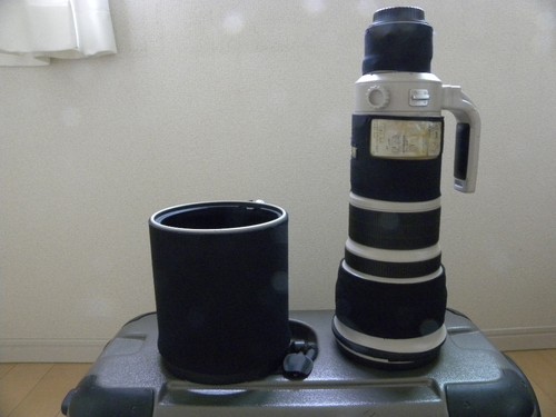 Canon 500mm f4l usm - 500mm,