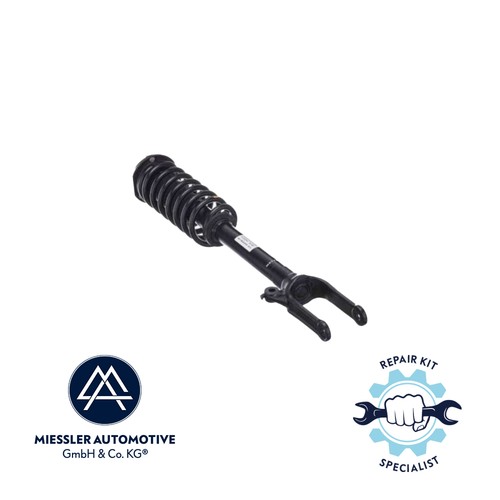 Suspension strut mercedes w251 - suspension,