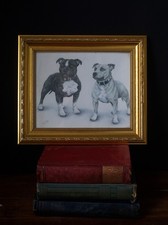 Signed & Framed Staffordshire Bull Terrier gold framed print