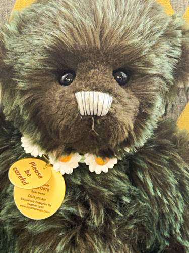 Charlie bears daisychain - charlie,