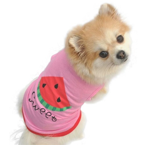 Dog top jumper chihuahua - top,