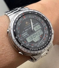 Citizen Promaster World Time