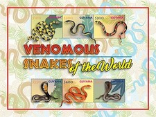 Guyana 2024 - Venomous Snakes