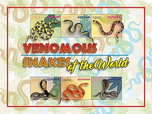 Guyana 2024 venomous snakes - 2024,