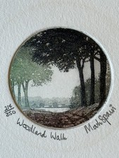 Mark Spain - Etching print   “Woodland Walk” 