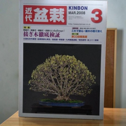 Modern bonsai magazine march - modern,