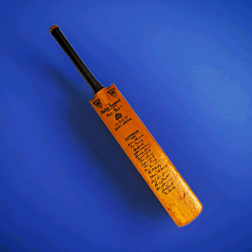 Miniature ashes cricket bat - ashes,