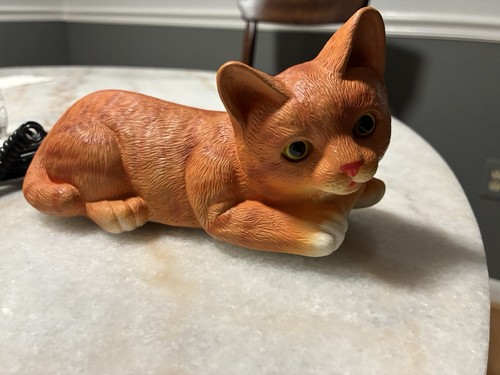 Cat telephone orange - cat, tabby