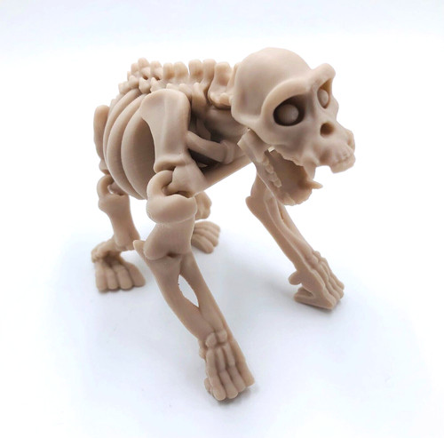 Printed skeleton chimpanzee - skeleton,