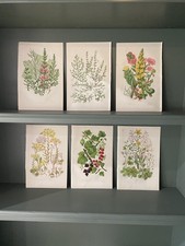 6 x Medium Size Original