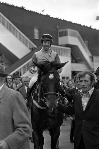 Horse racing grand - racing,