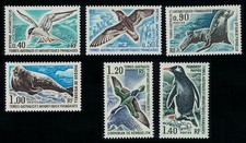 Tern Petrel Penguin Birds