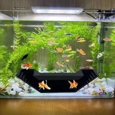 Aquarium Fish Tanks Shrimp Cave Widened Non-slip Bottom Stepped Aquarium Tunnel