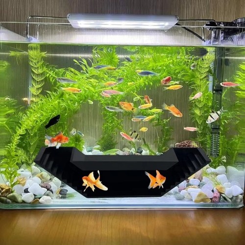 Aquarium fish tanks shrimp - fish,