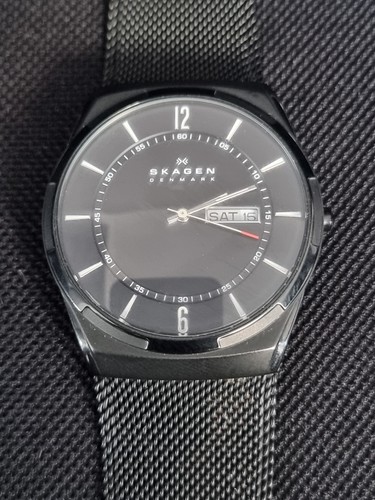 Skagen skw6006 mens - skw6006, quartz