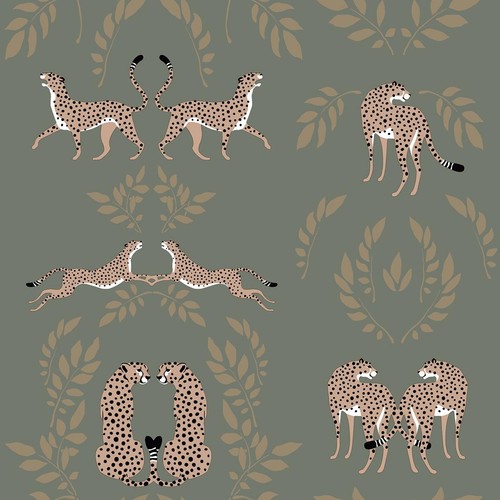 Leopard animal wallpaper - leopard,