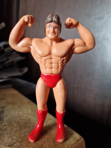 Wonderful paul orndorff - mr,