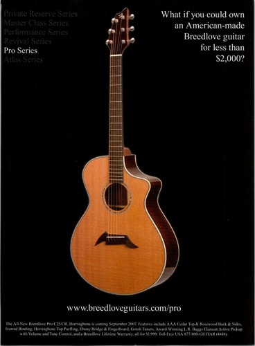 Breedlove guitars pro - guitars, series