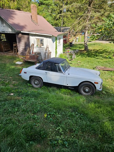Midget - mg,