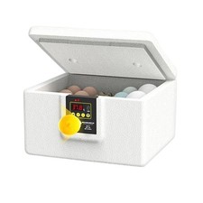 Full Automatic Small Poultry