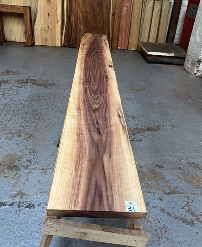 American walnut - walnut, (25mm)