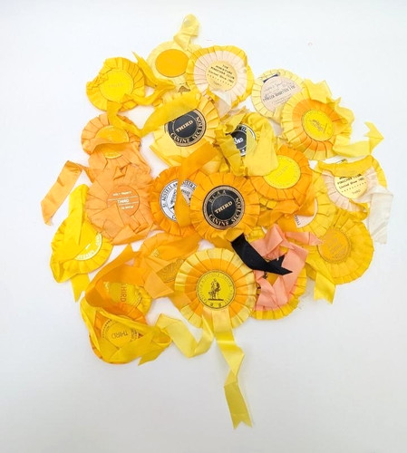 Vintage yellow dog show - yellow,