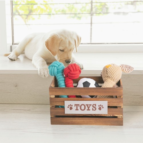 Brown paw print dog - paw, toys