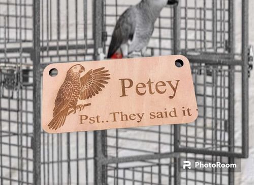 Personalised african grey - african,