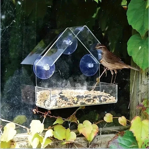 House transparent window wild - house,