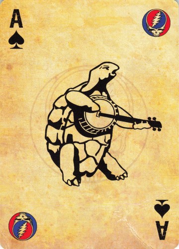 Grateful dead terrapin turtle - dead,