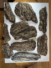 9 Large Southern Oregon