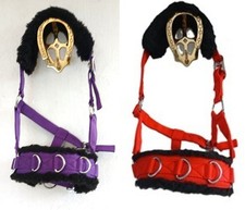 SHETLAND & MINI SHETLAND LUNGE