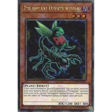 MP24-EN041 Predaplant Ophrys