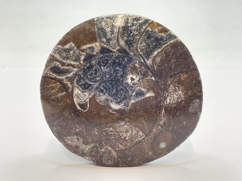 Devonian period 380 million - devonian,