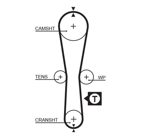 Timing belt and adjustment