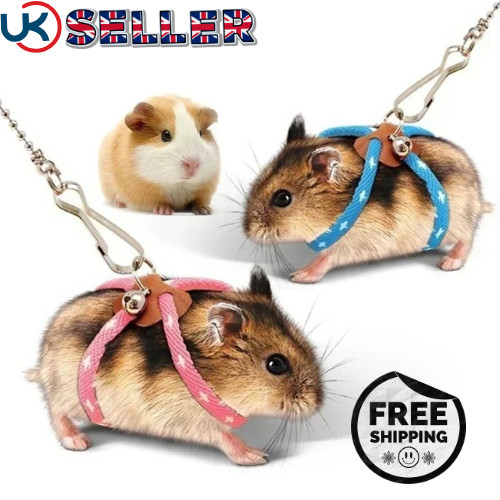 Adjustable small pet rat - pet,