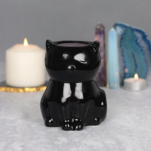 Spirit equinox black cat - of,