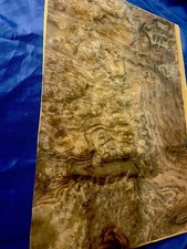 Burr Walnut - 2 NATURAL WOOD