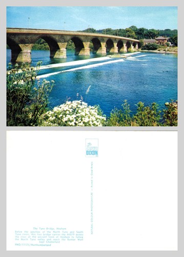 Postcard the tyne bridge - -,