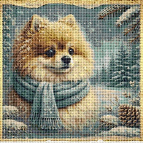 Pomeranian puppy dog - dog, comfort