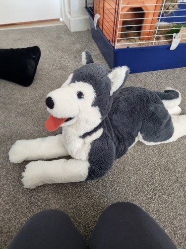 Ikea siberian husky - siberian,