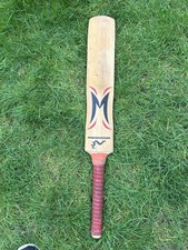 Woodworm the torch cricket bat - the,