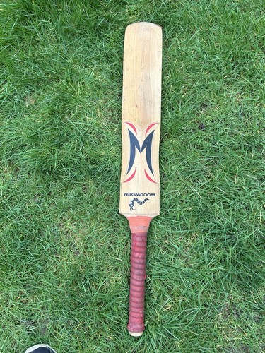 Woodworm the flame cricket bat - cricket,