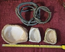 VIVARIUM WATER DISHES AND VINE