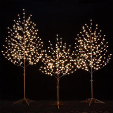 Lighted Cherry Blossom Tree