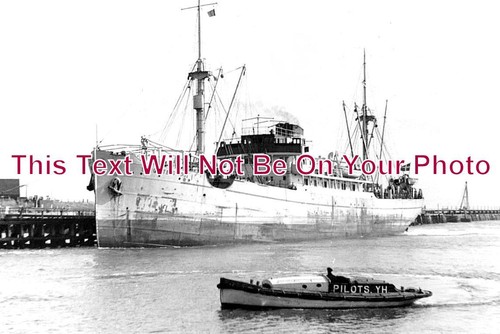 1569 ship pilot - 1569,