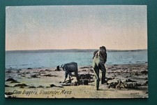 Gloucester, MA. Clam Diggers -