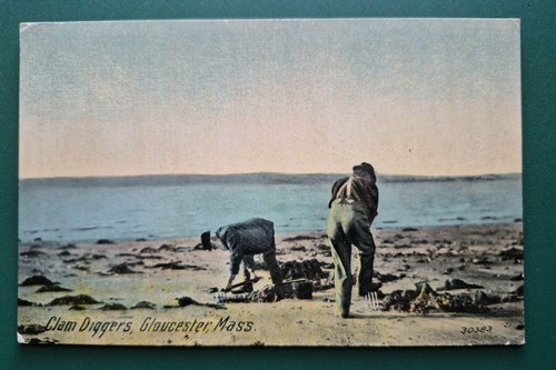 Gloucester clam diggers - ma.,